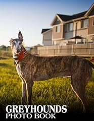 Greyhounds photography book for sale  Delivered anywhere in UK