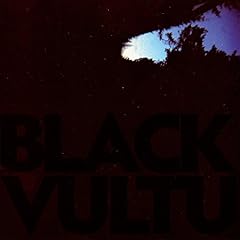 Black vultures vinyl gebraucht kaufen  Wird an jeden Ort in Deutschland