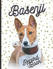 Basenji fantastic record for sale  Delivered anywhere in UK