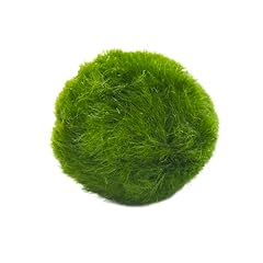 Marimo set sfuso usato  Spedito ovunque in Italia 