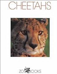 Cheetahs for sale  Delivered anywhere in USA 