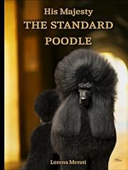 Majesty standard poodle for sale  Delivered anywhere in USA 