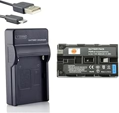 Dste ion batterie d'occasion  Livré partout en France