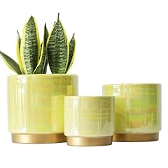 Gepege indoor pots for sale  Delivered anywhere in USA 