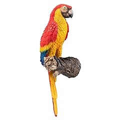 Ran perroquet macaw d'occasion  Livré partout en France