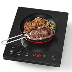 Payisho electric hot for sale  Delivered anywhere in USA 