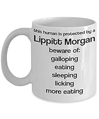 Lippitt morgan coffee for sale  Delivered anywhere in USA 