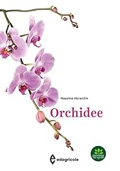 Orchidee usato  Spedito ovunque in Italia 