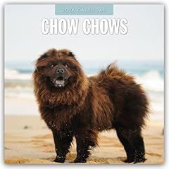Chow chows chow gebraucht kaufen  Wird an jeden Ort in Deutschland