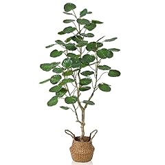 Kazeila artificial aralia for sale  Delivered anywhere in USA 