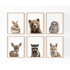 Nursery animal wall for sale  Delivered anywhere in USA 