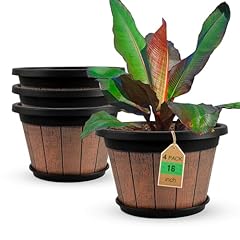 Quarut large pack for sale  Delivered anywhere in USA 