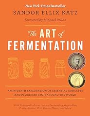 The art fermentation usato  Spedito ovunque in Italia 