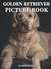 Golden retiever picture for sale  Delivered anywhere in USA 