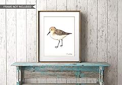 Sandpiper watercolor coastal for sale  Delivered anywhere in USA 