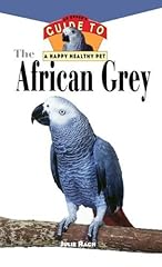 Hhp african grey d'occasion  Livré partout en France