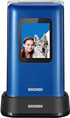 Brondi chi parla usato  Spedito ovunque in Italia 