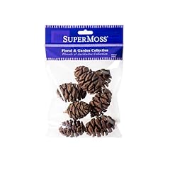Supermoss sequoia pine for sale  Delivered anywhere in USA 