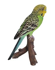 Green budgerigar for sale  Delivered anywhere in UK