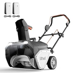 Litheli 2x20v cordless for sale  Delivered anywhere in USA 