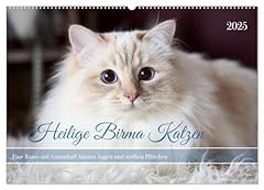 Heilige birma katzen gebraucht kaufen  Wird an jeden Ort in Deutschland