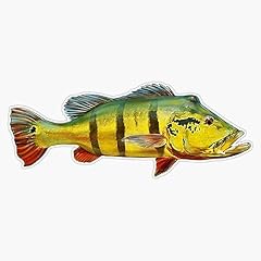 Peacock bass bumper for sale  Delivered anywhere in USA 