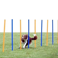 Trixie dog agility for sale  Delivered anywhere in USA 