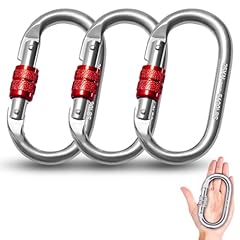 Karabiner groß stück gebraucht kaufen  Wird an jeden Ort in Deutschland