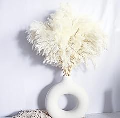 White pampas grass for sale  Delivered anywhere in USA 