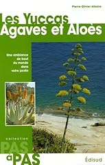 Yuccas agaves aloès d'occasion  Livré partout en France