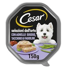 Cesar selezione dell usato  Spedito ovunque in Italia 