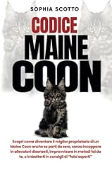 Codice maine coon usato  Spedito ovunque in Italia 