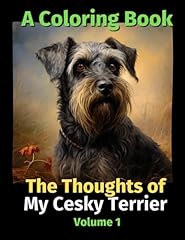 Thoughts cesky terrier for sale  Delivered anywhere in UK