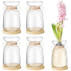Foldtier sets hyacinth for sale  Delivered anywhere in USA 