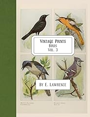 Vintage prints birds for sale  Delivered anywhere in USA 