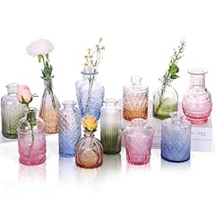 Cucumi pack colorful for sale  Delivered anywhere in USA 