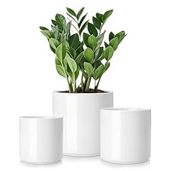 Vancasso ceramic plant for sale  Delivered anywhere in USA 