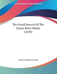 Fossil insects green for sale  Delivered anywhere in USA 