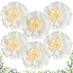 Sunbeauty pcs white for sale  Delivered anywhere in USA 