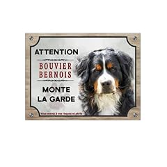 Plaque bouvier bernois d'occasion  Livré partout en France