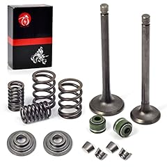 MOTO1988 Engine Intake Valve Exhaust Valve Seals Springs for sale  Delivered anywhere in USA 