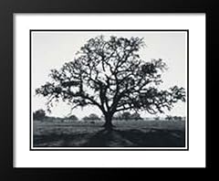 Ansel adams framed for sale  Delivered anywhere in USA 