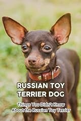 Russian toy terrier for sale  Delivered anywhere in UK
