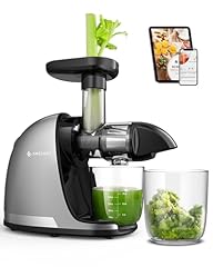 Amzchef cold press for sale  Delivered anywhere in USA 