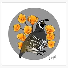 California quail poppy for sale  Delivered anywhere in USA 