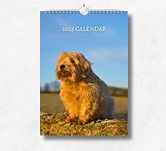 Norfolk terrier calendar for sale  Delivered anywhere in UK