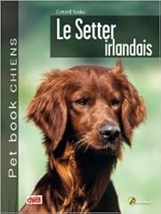 Setter irlandais collectif d'occasion  Livré partout en France