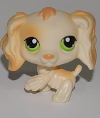 Cocker spaniel 347 for sale  Delivered anywhere in USA 