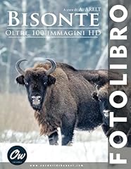 Bisonte fotolibro oltre usato  Spedito ovunque in Italia 