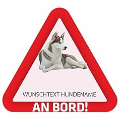 Indigos sibirischer husky gebraucht kaufen  Wird an jeden Ort in Deutschland